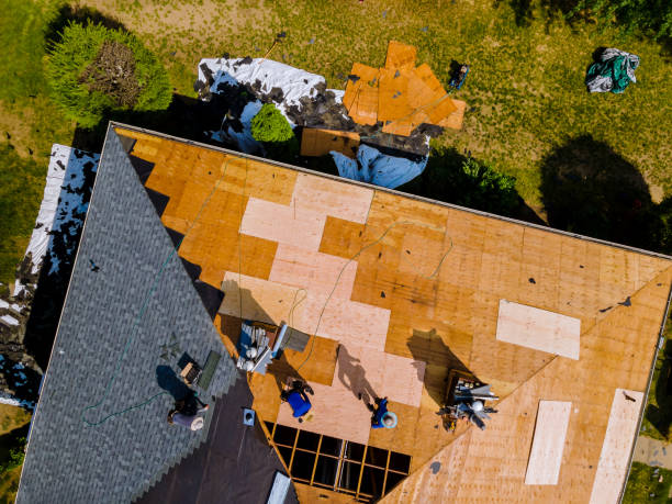 Best Storm Damage Roof Repair  in Belmont, PA